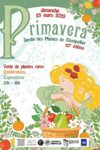 Marché primavera Montpellier jardin des plantes